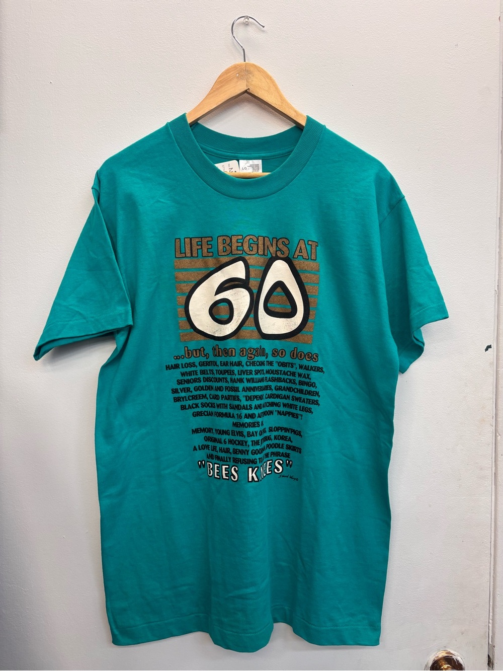 Life Begins at 60 Funny Slogan Mens Teal Graphic T-shirt Single Stitch